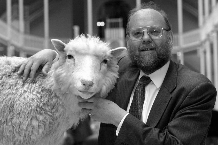 Иэн Уилмут с овечкой Долли. Обложка © Getty Images / Maurice McDonald – PA Images