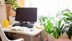 Эксперт дал простые советы, как не переплачивать за электроэнергию