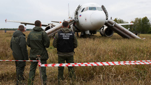 Эксперт объяснил столь филигранную посадку A320 в поле под Новосибирском