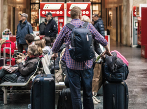 В Европе призвали "разумно" подходить к запрету на провоз россиянами личных вещей