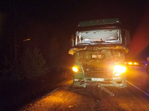 Последствия столкновения пяти автомобилей на трассе Йошкар-Ола – Зеленодольск. Фото © t.me / Госавтоинспекция Марий Эл