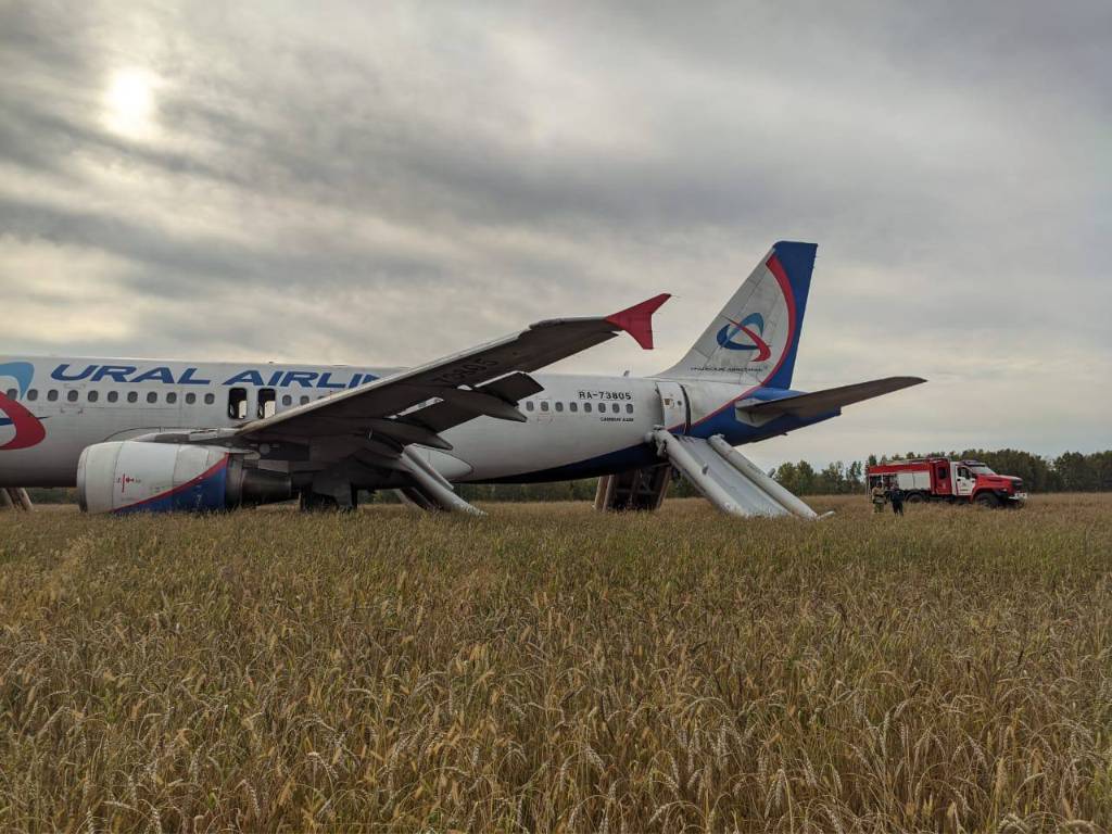 Пассажирам экстренно севшего под Новосибирском A320 выплатят по 100 тысяч рублей