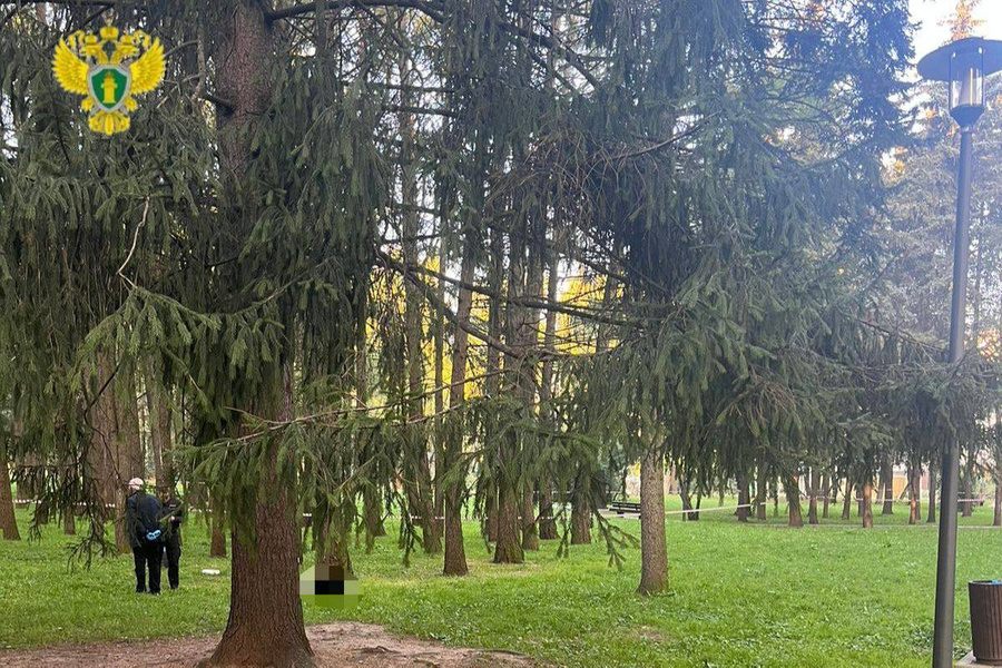 Обезглавленное тело мужчины обнаружили в парке на севере Москвы. Фото © Телеграм-канал Прокуратура Москвы