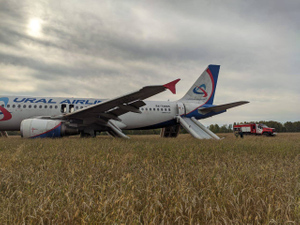 Самолёт "Уральских авиалиний", севший в поле под Новосибирском, разберут на металлолом