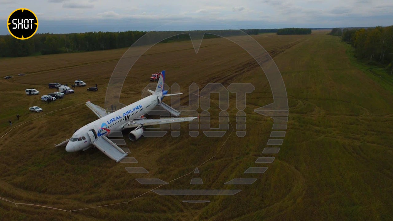 Севший на пшеничном поле в Убинском районе Новосибирской области Airbus-A320 авиакомпании "Уральские авиалинии". Фото © SHOT