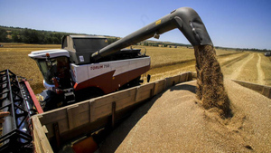 "Вызывает надежду": В ООН поприветствовали желание РФ возобновить зерновую сделку