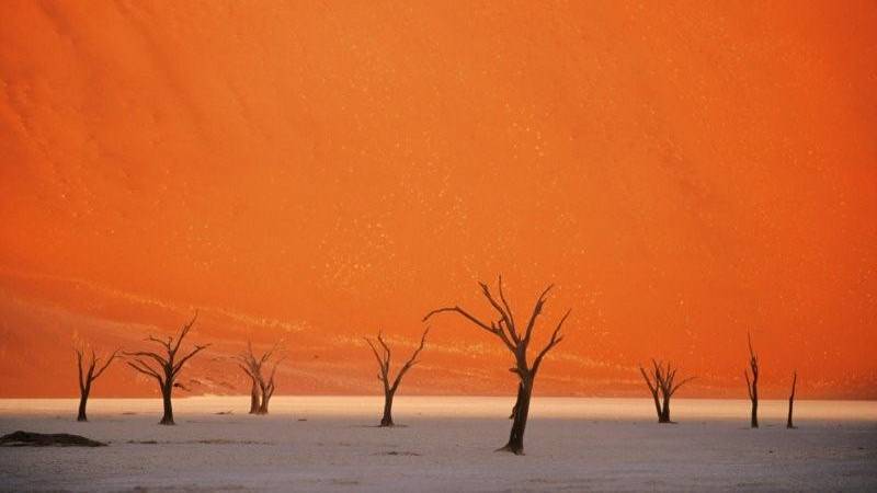 Мёртвая долина Соссусфлей. Фото © Wikimedia / Desertman