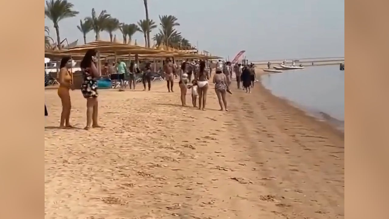 Пострадавшая от нападения акулы на курорте Дахаб оказалась египтянкой