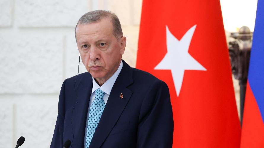 В Швеции, ожидающей от Турции одобрения членства в НАТО, сожгли чучело Эрдогана
