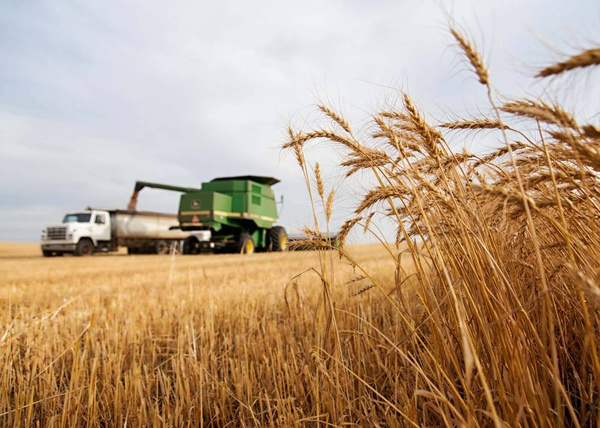 Лавров: Россия компенсирует с избытком поставки зерна в страны Африки