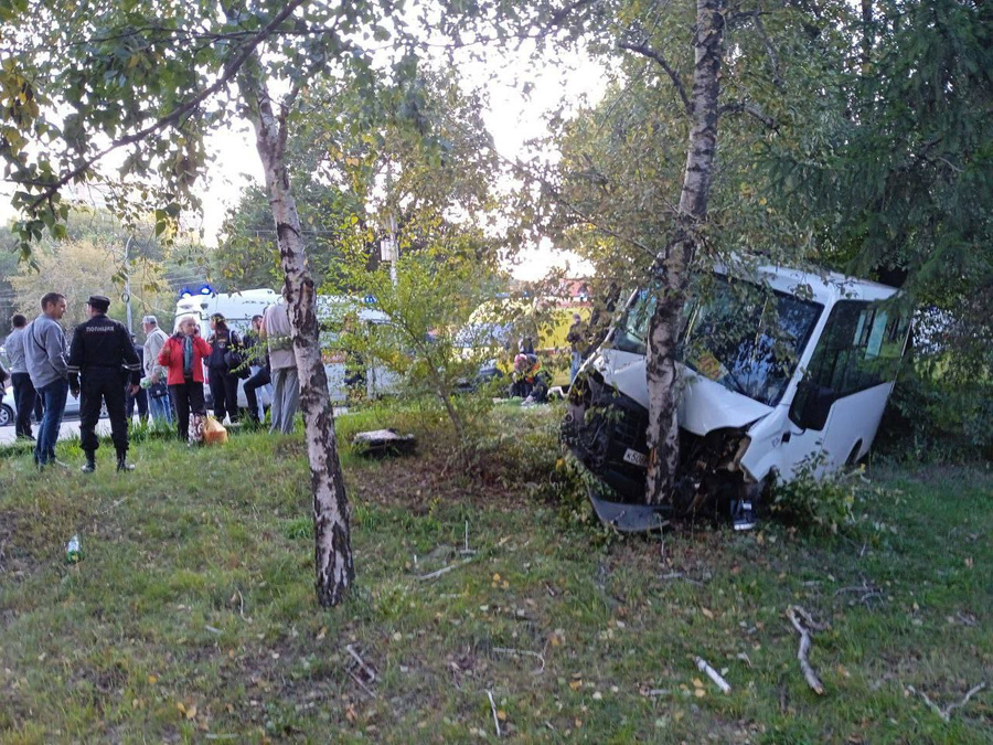 В Саратове маршрутка врезалась в дерево, пострадали 8 человек. Фото © Телеграм-канал "Саратов 24"