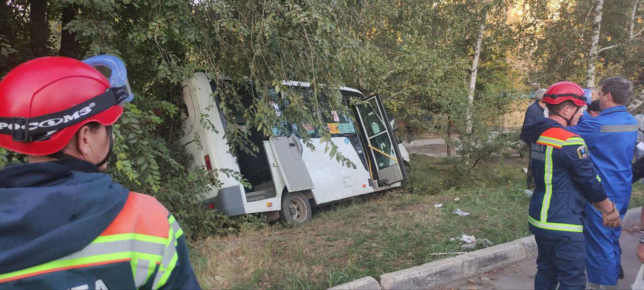 В Саратове маршрутка врезалась в дерево, пострадали восемь человек