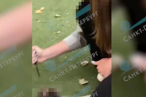 Восьмиклассница в Петербурге зарезала ежа на глазах у детей