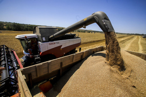 Минсельхоз РФ озвучил сроки начала поставок российского зерна в Африку