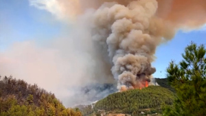 Лесной пожар вспыхнул в курортном районе Турции
