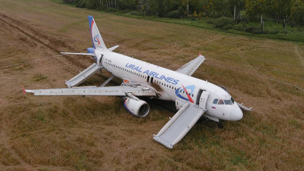 Новосибирским аграриям пообещали возместить ущерб после посадки самолёта в поле