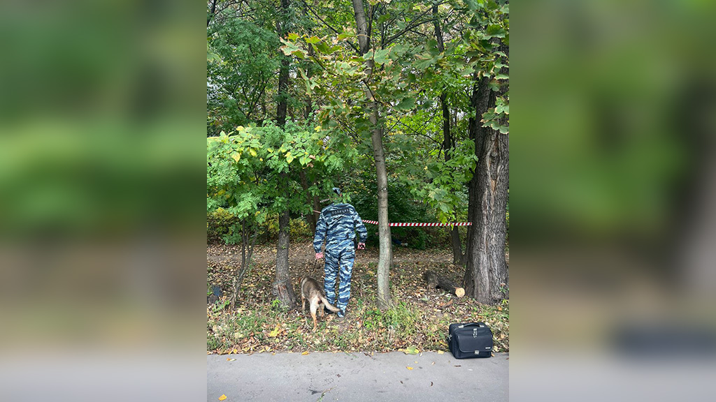 Место убийства чиновницы Роспотребнадзора на улице Молдавской в Москве. Фото © t.me / Прокуратура Москвы 