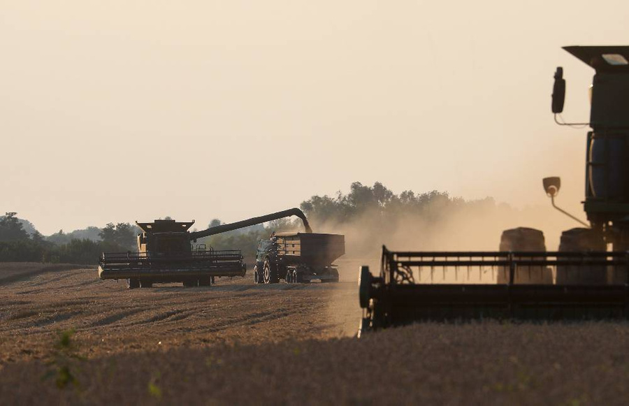 Сбор урожая зерновых в Киевской области. Август 2023 года. Фото © ТАСС / EPA / SERGEY DOLZHENKO