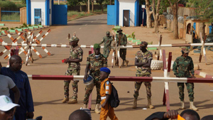 Министры обороны Франции и США высказались за дипломатическое решение конфликта в Нигере