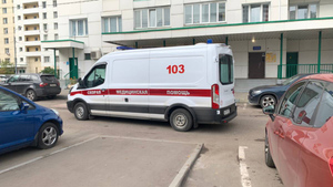 Грибы оказались невиновны в смерти челябинской школьницы, умершей после семейного обеда