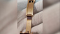 Часы Rolex за 3,5 миллиона рублей, обнаруженные у прилетевшего из Баку россиянина. Фото © T.me / ФТС России | ProТаможню