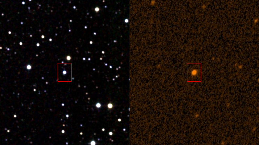 Звезда Табби (KIC 8462852) в инфракрасном (слева) и ультрафиолетовом (справа) диапазоне. Фото © Wikipedia / IPAC / NASA