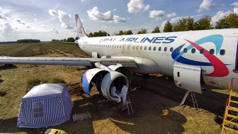 Самолёт "Уральских авиалиний", аварийно севший в поле в Новосибирской области. Обложка © Telegram / UralAirlines_Official