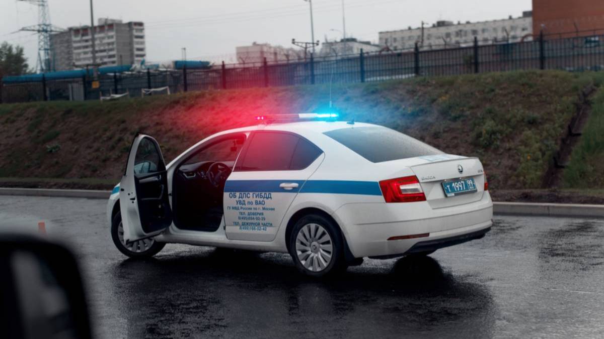 Тело пропавшего в Коломне парня нашли закопанным в  коровнике-нарколаборатории