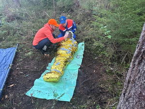 В Ленинградской области спустя неделю нашли живой пропавшую в лесу пенсионерку