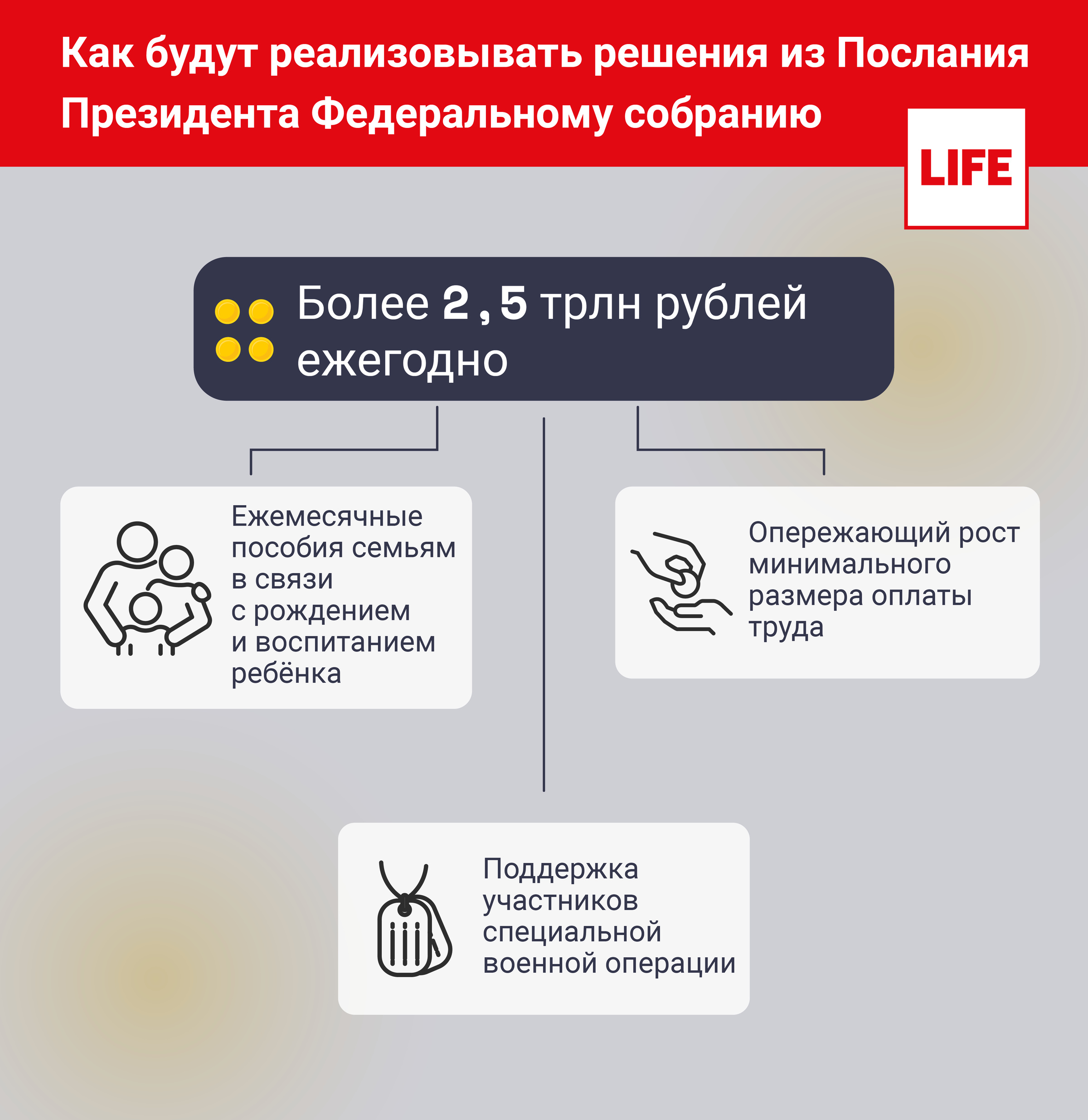 Как будут реализовывать решения из Послания Президента РФ Федеральному собранию. Инфографика © LIFE