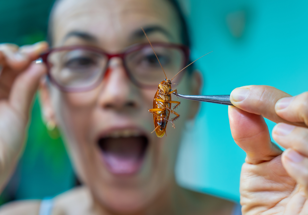 Как гласит народная примета, тараканы в квартире у женщины сулят благополучие и появление сильного мужчины в её жизни. Фото © Shutterstock