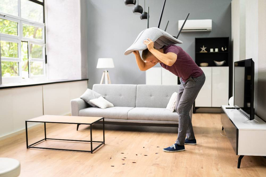 Кажется, что избавиться от тараканов в квартире, где живёт один мужчина, — задача нереальная. А надо бы! Народные приметы говорят про беду. Фото © Getty Images