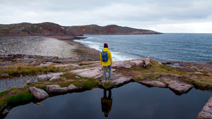 Мурманская и Амурская области стали лидерами по росту привлекательности для туристов