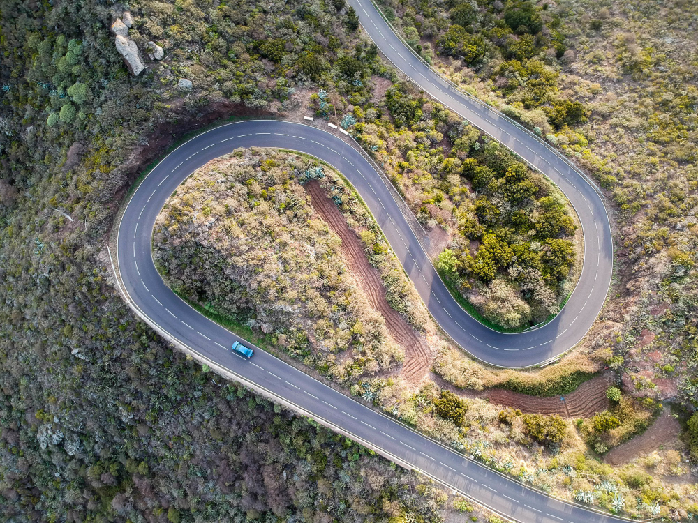 4 сентября отмечается День незнакомых дорог. Фото © Freepik / free-photo 