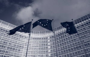 В Европарламенте признали вред антироссийских санкций