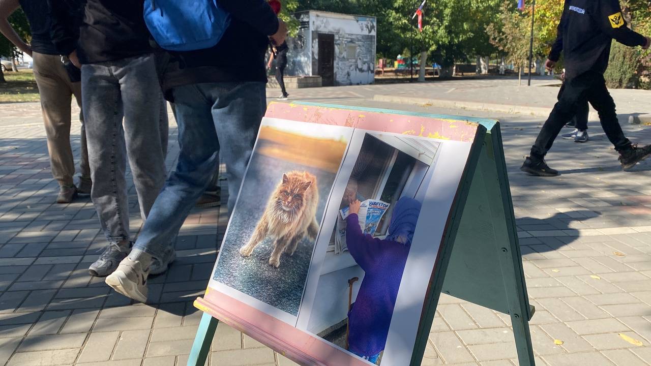 Фотовыставка, посвящённая годовщине воссоединения новых регионов с Россией. Фото © Предоставлено LIFE