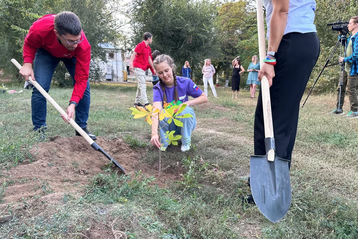 "Аллея первых", Волгоградская область. Фото © Предоставлено Лайфу