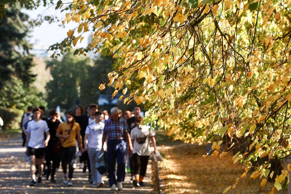 3 октября отмечается День "Посмотрите на листья". Фото © Агентство "Москва" / Ярослав Чингаев