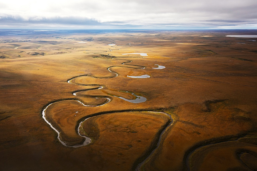 "Газпромнефть-Гео" протестировала агродрон на Лескинском участке на севере Гыданского полуострова. Фото © "Газпром нефть"