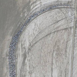 Застрявшие в грязи участники фестиваля Burning Man покидают пустыню в Неваде. Обложка © twitter / nicksortor