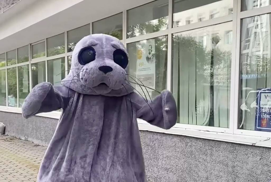 В Иркутске на избирательный участок пришёл россиянин в костюме нерпы. Обложка © Telegram / "Общественный штаб по наблюдению за выборами"