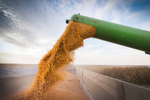 В Кремле назвали реализуемыми требования России по зерновой сделке