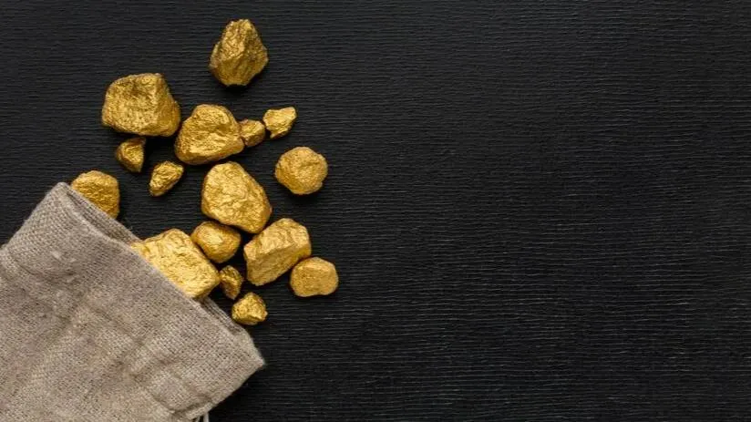 На Урале поймали банду, незаконно добывшую золота на 1,3 миллиона рублей