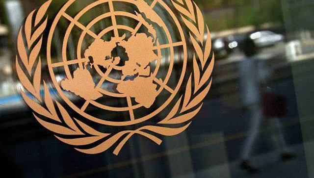 Россия запросила на 12 января заседание СБ ООН из-за ударов по Йемену