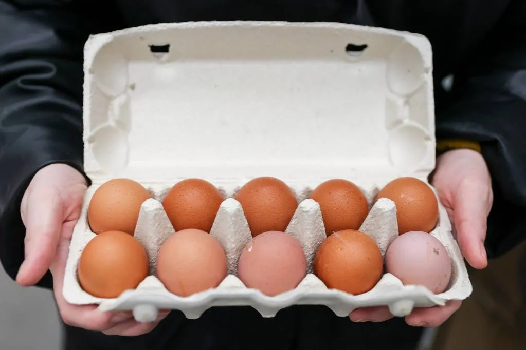 Цены на яйца в России упали до 75 рублей