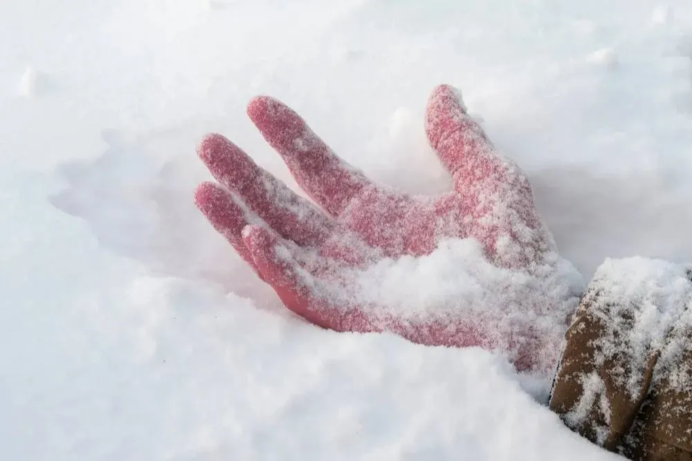 Вмёрз в лёд: Пропавшего месяц назад подростка нашли мёртвым в Ленобласти