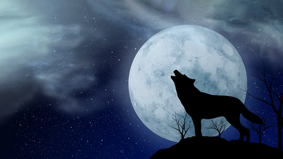 Луна светила из круглой. Волк и Луна. Собака Луна. Собака лает на луну.