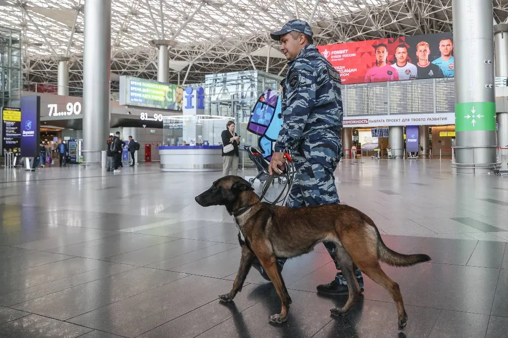 Три сотых грамма гашиша могут обойтись прилетевшему из Ташкента москвичу в 7 лет тюрьмы