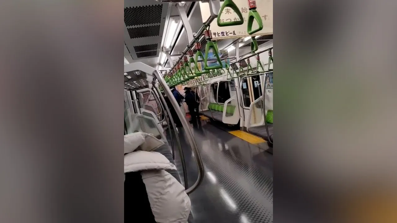 В Токио женщина с ножом набросилась на пассажиров поезда, пострадали четыре человека