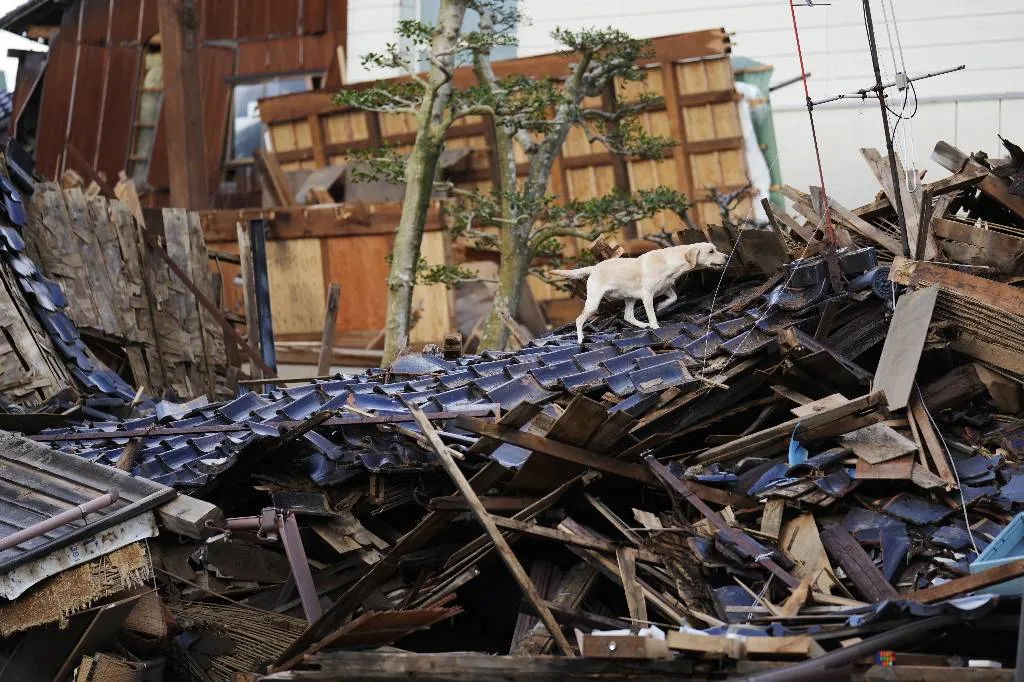 Количество погибших при землетрясениях в Японии выросло до 92